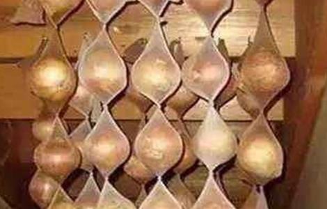 洋葱贮藏方法 洋葱贮藏