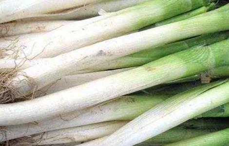 大葱葱白短的解决方法 如何使大葱的葱白又长又粗