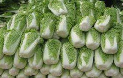 冬天大白菜该如何储存（冬天大白菜该如何储存呢）