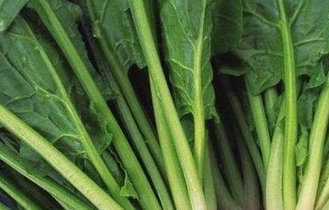 冬天菠菜如何长期保存 冬天菠菜如何长期保存呢