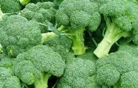 西兰花空茎原因及防治方法 西兰花空茎原因及防治方法图片