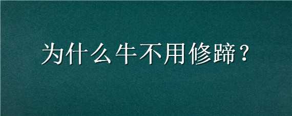 为什么牛不用修蹄 为什么牛不用修蹄子