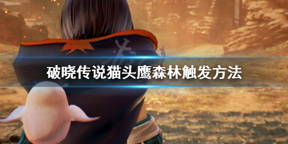 破晓传说猫头鹰森林去哪找（破晓传说猫头鹰任务完成不了）