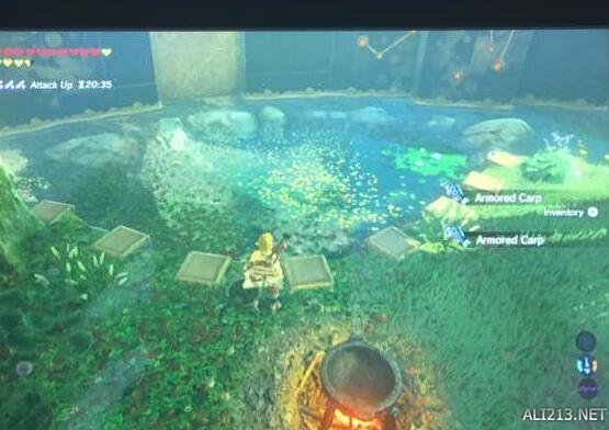 塞尔达传说荒野之息DLC剑之试炼最高难度通关图文攻略