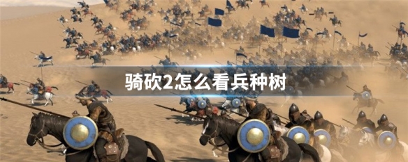 骑砍2怎么看兵种树（骑砍2士兵升级树）