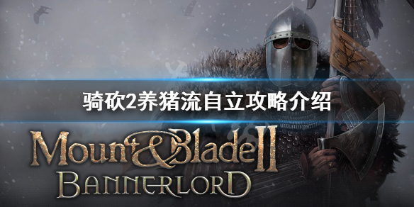 骑马与砍杀2养猪流怎么自立（骑马与砍杀2肉猪）