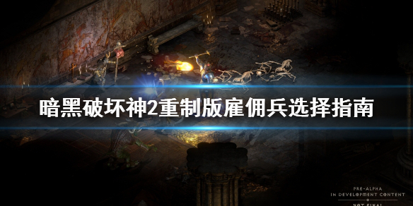 暗黑破坏神2重制版雇佣兵选哪个（暗黑破坏神2重制版雇佣兵选哪个属性）