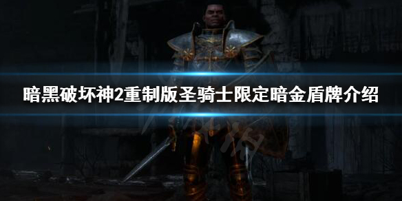 暗黑破坏神2重制版暗金盾牌有哪些（暗黑破坏神2重制版精神盾）