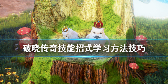 破晓传说技能招式怎么学（破晓传说技能招式怎么学不了）