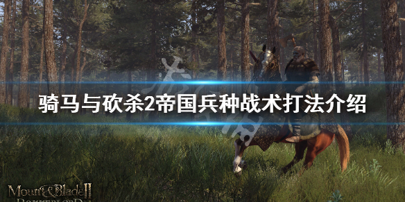 骑马与砍杀2帝国兵种详解（骑马与砍杀2帝国骑兵）