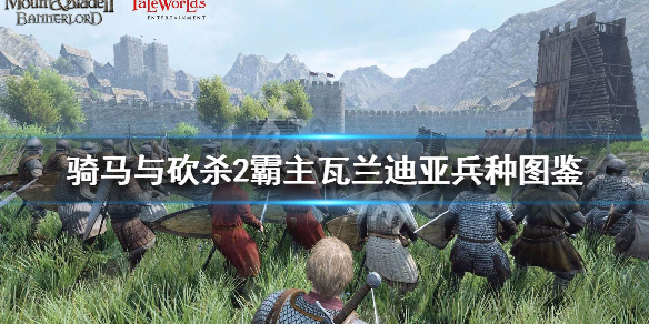 骑马与砍杀2霸主瓦兰迪亚兵种图鉴（骑马与砍杀2瓦兰迪亚先锋骑兵）