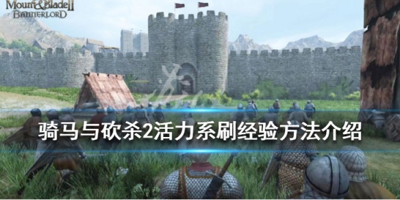 骑马与砍杀2活力技能怎么刷经验 骑马与砍杀2刷属性