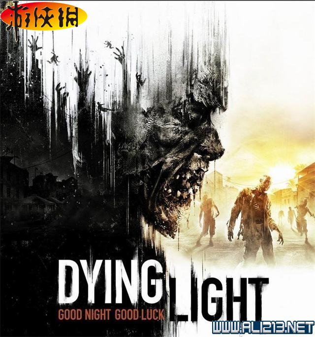 《消逝的光芒》图文攻略详细解析（消逝的光芒全攻略）