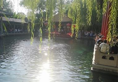 济南适合养什么花，市花和市树是什么