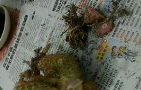 金手指烂根怎么办 金手指烂了怎么办