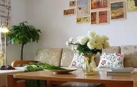 室内盆景怎样摆放(室内盆景如何摆放)