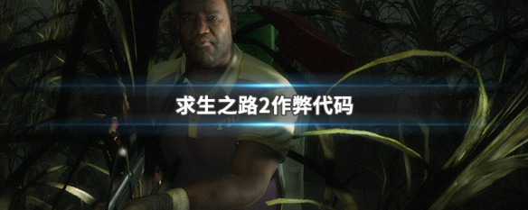 求生之路2作弊代码（求生之路作弊代码不能用本地服务器吗）