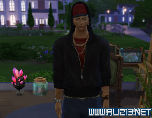 《模拟人生4》综合攻略 入门指南：控制与快捷键