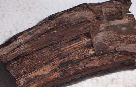 沉香木的功效与作用（沉香木手串的功效）