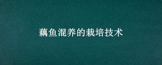 藕鱼混养的栽培技术（莲藕鱼混养技术视频）