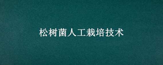 松树菌人工栽培技术（松树菌人工栽培）