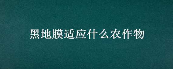 黑地膜适应什么农作物 黑地膜适合什么作物