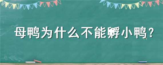 母鸭为什么不能孵小鸭（母鸭为什么不能孵小鸭蛋）