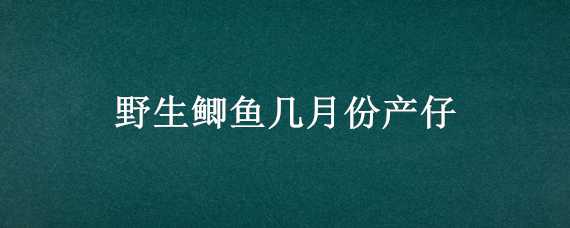 野生鲫鱼几月份产仔（野生鲫鱼产子时间）