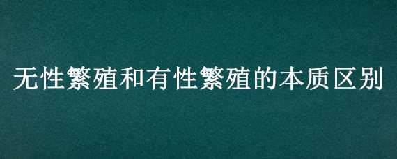 无性繁殖和有性繁殖的本质区别（有性繁殖和无性繁殖是什么意思）