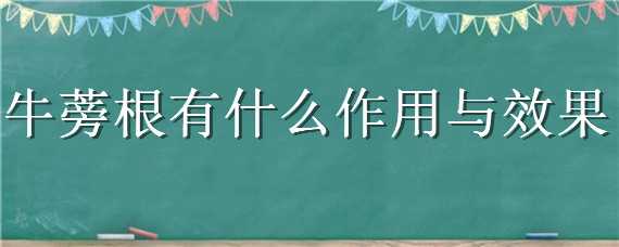 牛蒡根有什么作用与效果（牛蒡根有什么作用啊）