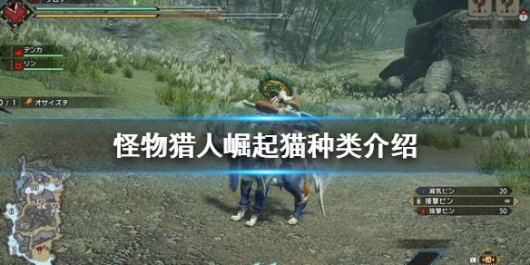 怪物猎人崛起艾露猫种类怎么选 怪猎崛起艾露猫支援类型选哪个
