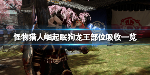 怪物猎人崛起眠狗龙王用什么属性打（崛起眠狗龙王的尖爪）