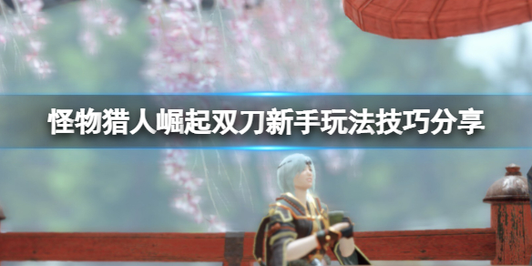 怪物猎人崛起双刀怎么玩(怪物猎人崛起双刀配装思路)