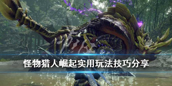 怪物猎人崛起实用玩法技巧分享（怪物猎人 崛起 玩法）