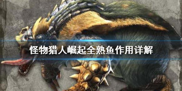 怪物猎人崛起全熟鱼有什么用 怪猎崛起熟肉