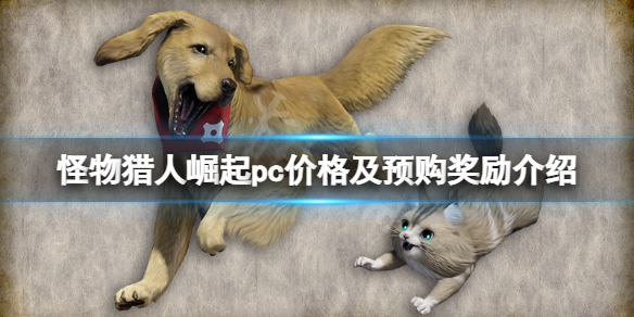 怪物猎人崛起pc价格是多少 《怪物猎人:崛起》将推出pc版