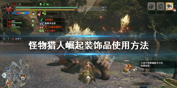 怪物猎人崛起珠子怎么用（怪物猎人崛起珠子怎么用的）