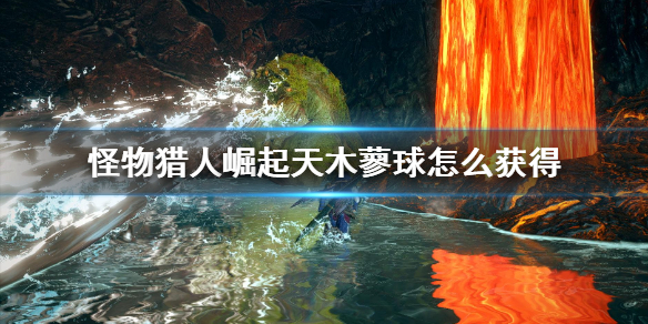 怪物猎人崛起天木蓼球怎么获得（怪物猎人崛起木天球强化）