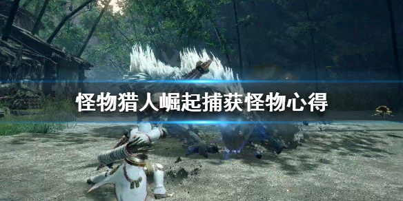 怪物猎人崛起怎么捕获怪物（怪物猎人崛起捕获怪物提示）