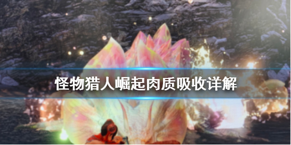 怪物猎人崛起肉质是什么意思 怪猎崛起肉球