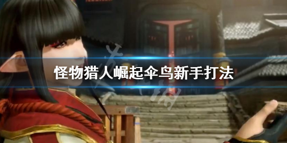 怪物猎人崛起新手怎么打伞鸟 怪物猎人崛起怎么刷伞鸟