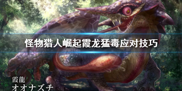 怪物猎人崛起霞龙猛毒怎么打 怪猎崛起霞龙弱什么