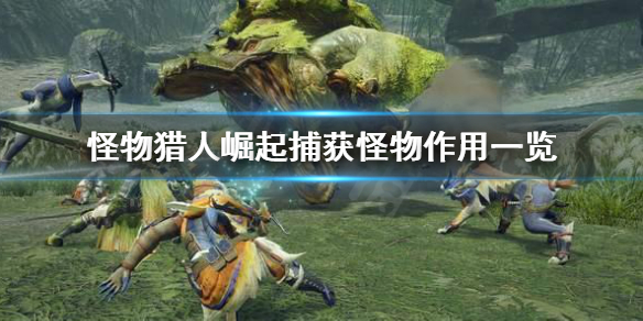 怪物猎人崛起捕获有什么用(怪物猎人崛起捕获有什么用处)