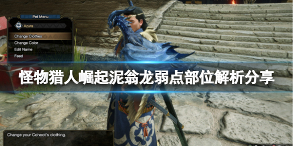 怪物猎人崛起泥翁龙怎么打（怪物猎人崛起泥翁龙怎么打）