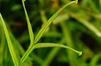 蜘蛛人 蜘蛛人外墙清洗多少钱一平方