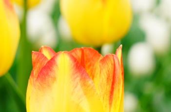 阳光少年 阳光少年冒险记