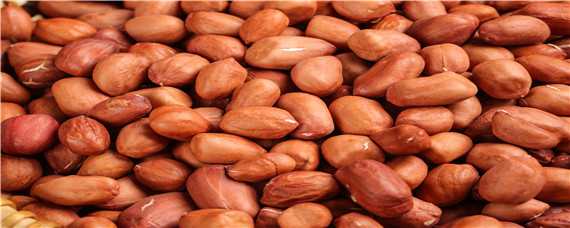 花生的种植方法及时间（花生的种植方法及时间视频）