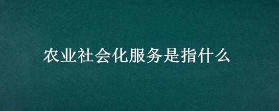 农业社会化服务是指什么（农业生产社会化服务是指什么）