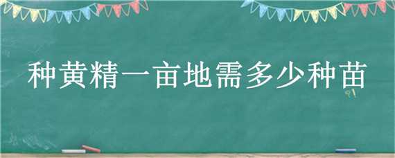 种黄精一亩地需多少种苗（种黄精一亩地需多少种苗木）