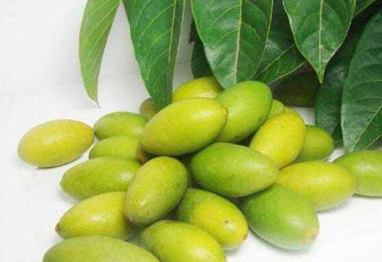 檀香橄榄的功效与作用及禁忌有哪些